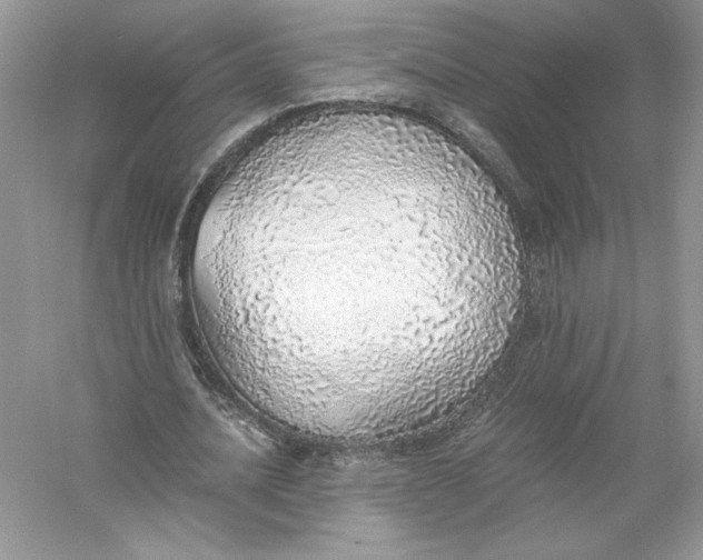 X0000056030628200509092206