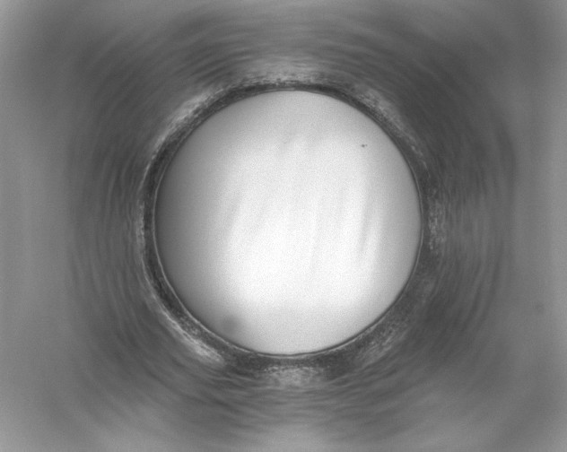 X0000056030629200509092206