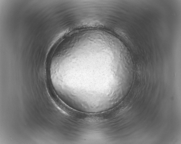 X0000056030630200509092206