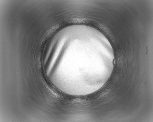 X0000056030633200509092206