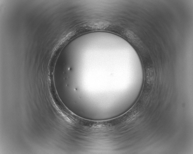 X0000056030634200509092206