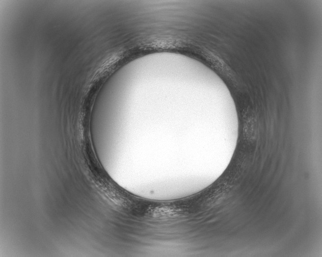 X0000056030635200509092206