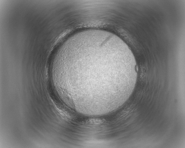 X0000056030636200509092206