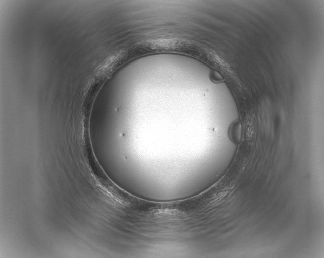 X0000056030637200509092206