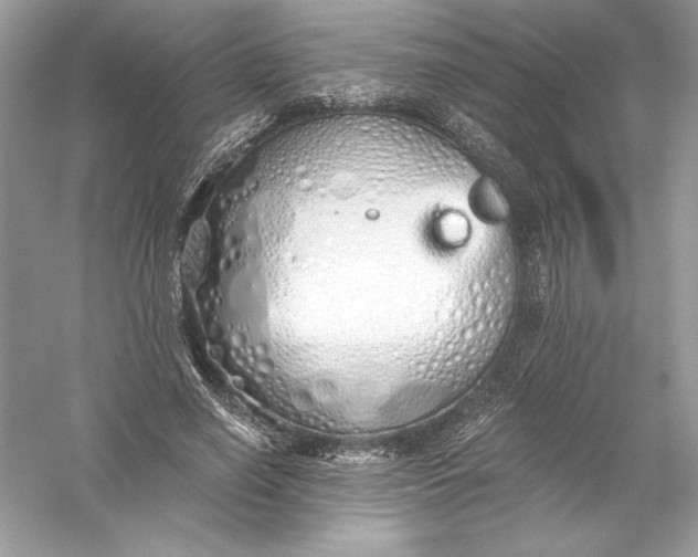 X0000056030638200509092206