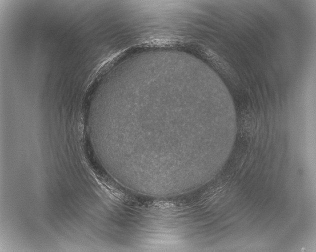 X0000056030640200509092206