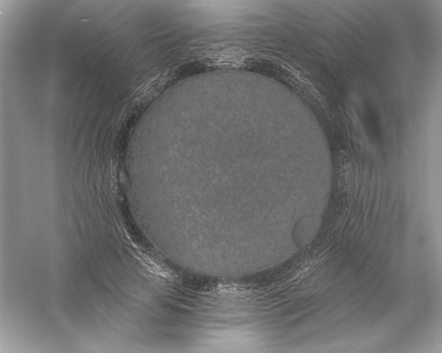 X0000056030641200509092206