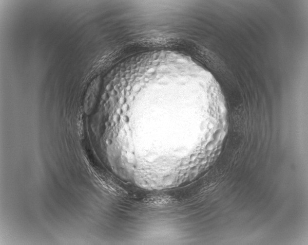 X0000056030642200509092206