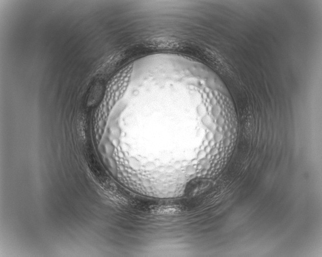 X0000056030643200509092206