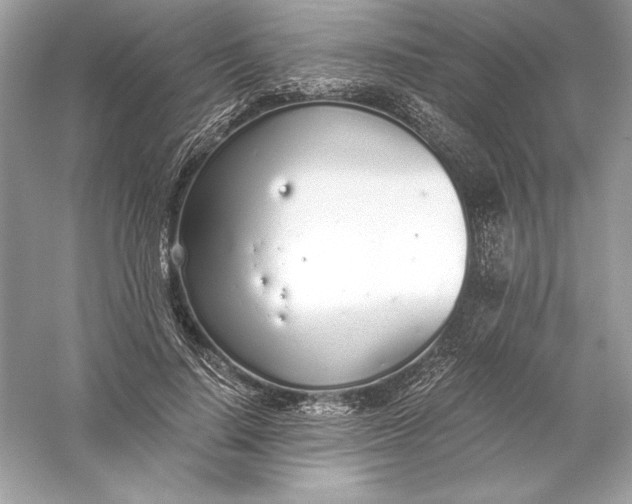 X0000056030644200509092206