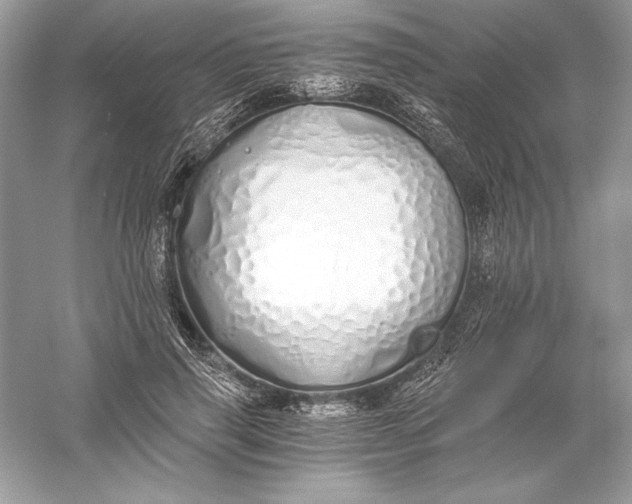 X0000056030645200509092206