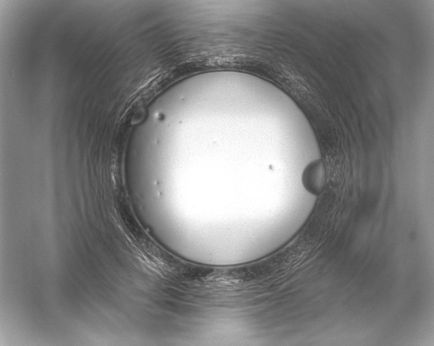 X0000056030648200509092206