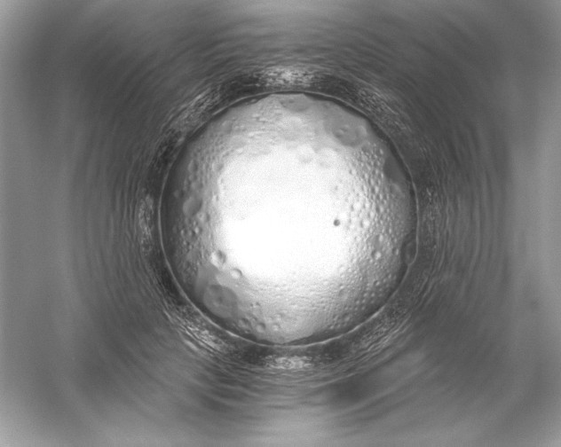 X0000056030649200509092206