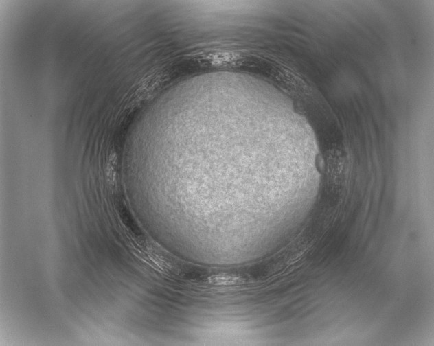 X0000056030650200509092206