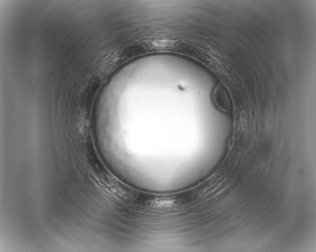 X0000056030651200509092206