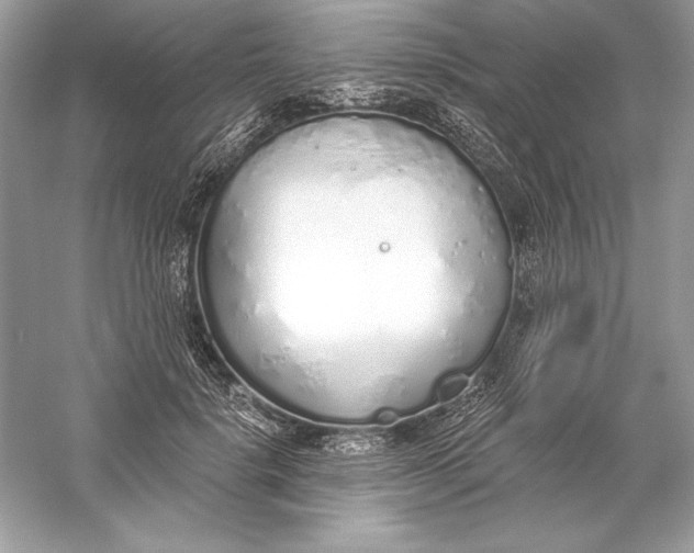 X0000056030652200509092206