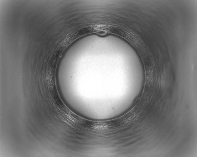 X0000056030653200509092206