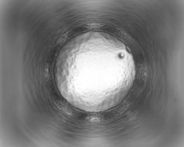 X0000056030655200509092206