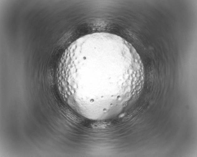 X0000056030661200509092206