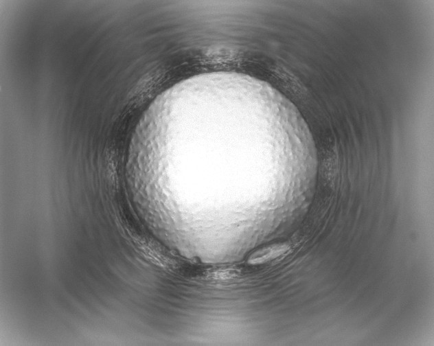 X0000056030662200509092206