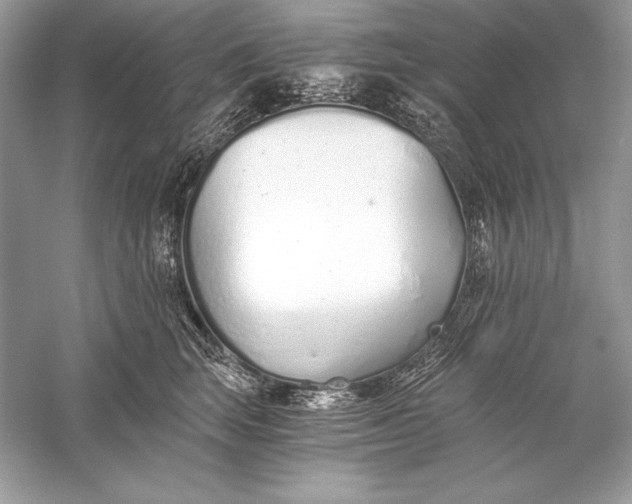 X0000056030663200509092206