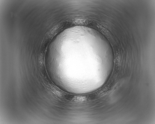 X0000056030665200509092206