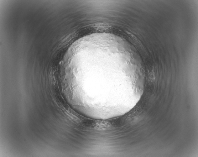 X0000056030666200509092206