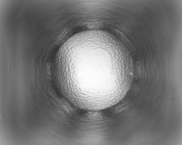 X0000056030667200509092206