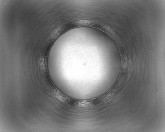 X0000056030669200509092206