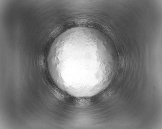 X0000056030670200509092206