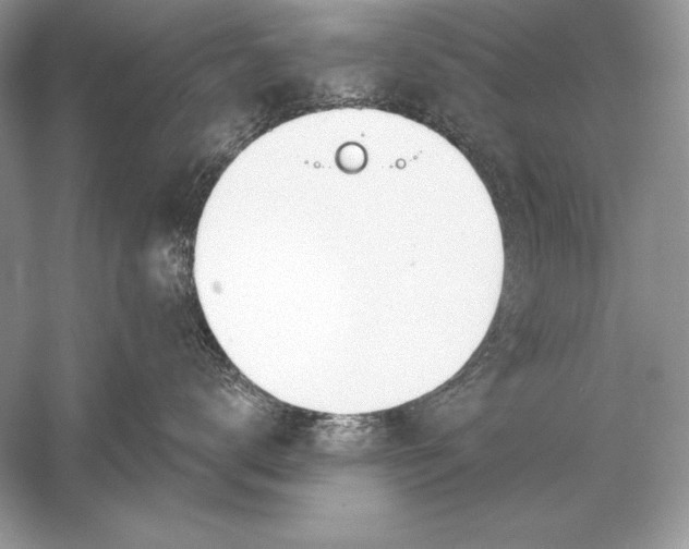 X0000056030672200509092207