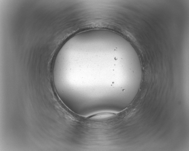 X0000056030673200509092206