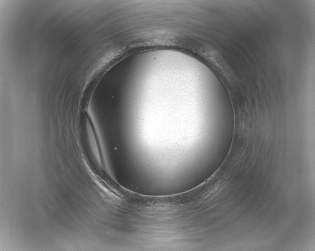 X0000056030677200509092206