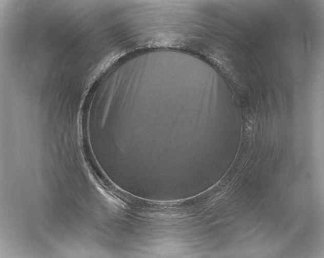 X0000056030678200509092206