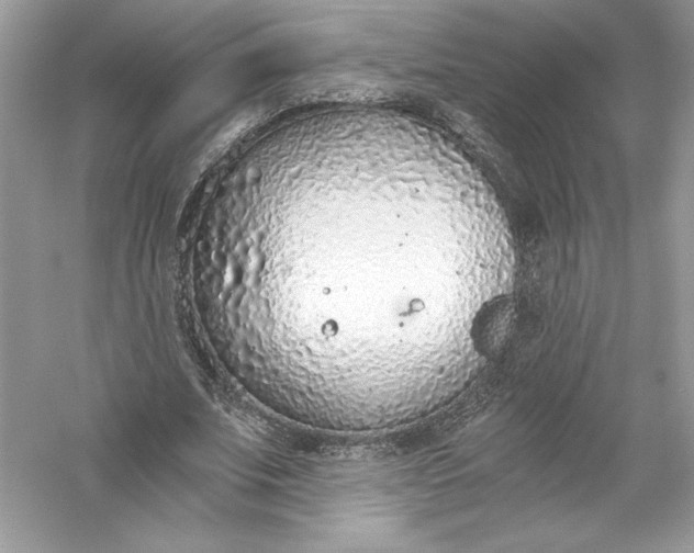 X0000056030679200509092206