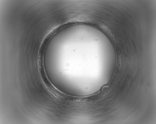 X0000056030680200509092206