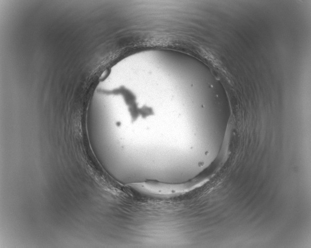 X0000056030681200509092206