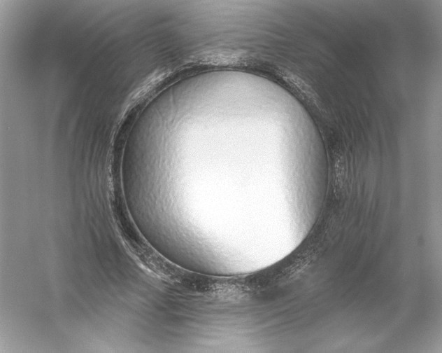 X0000056030682200509092206