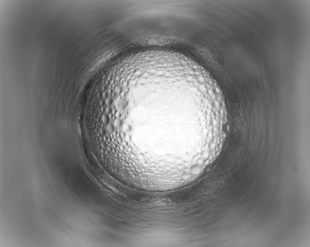 X0000056030683200509092206