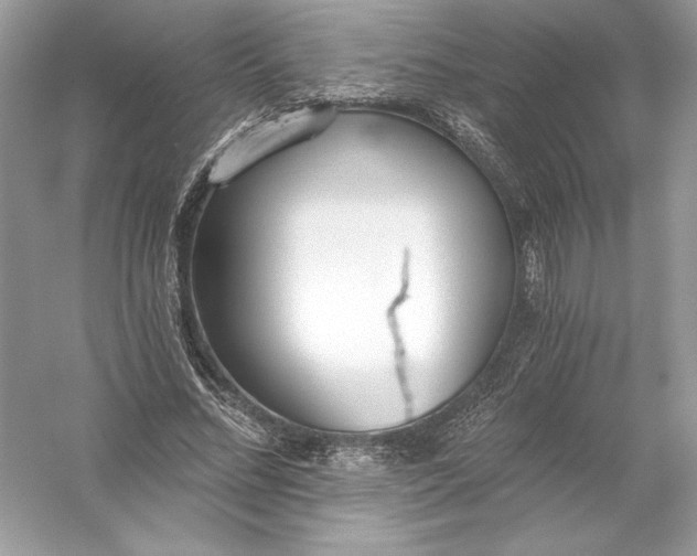 X0000056030684200509092206