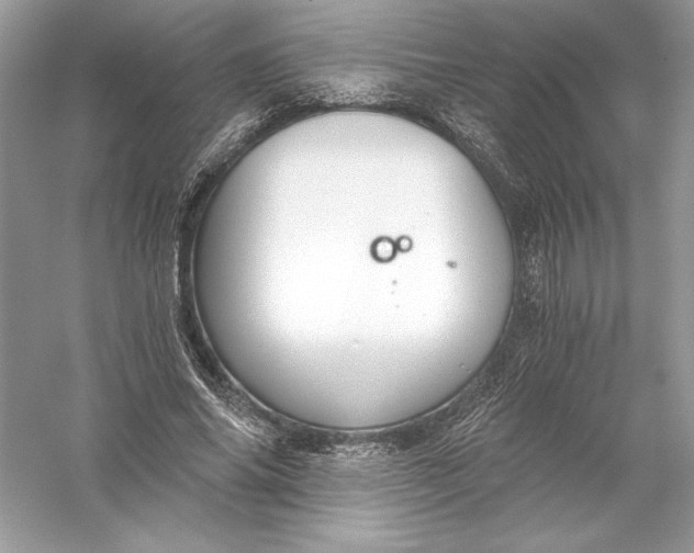 X0000056030686200509092205