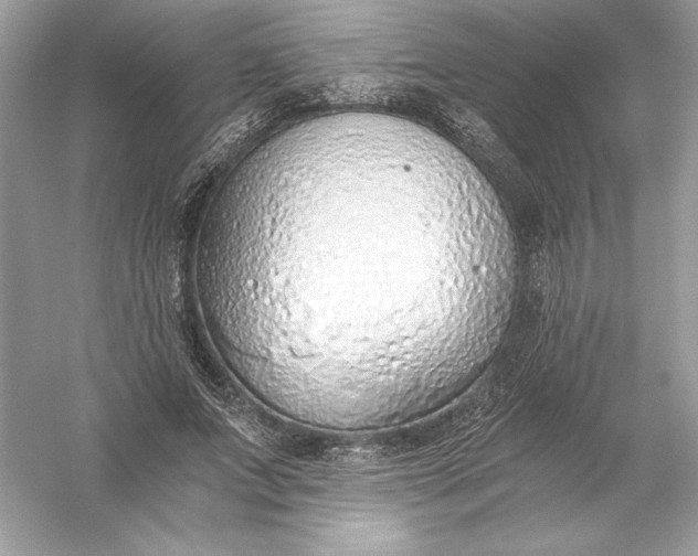 X0000056030687200509092205