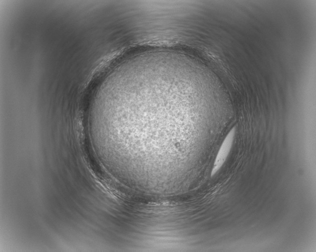 X0000056030688200509092205