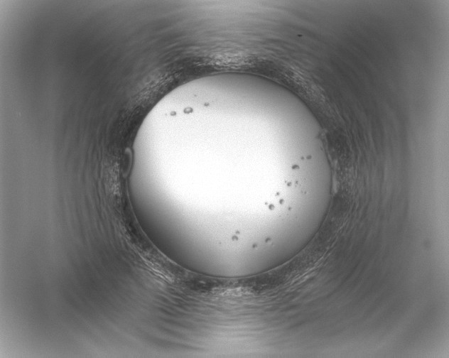 X0000056030689200509092205