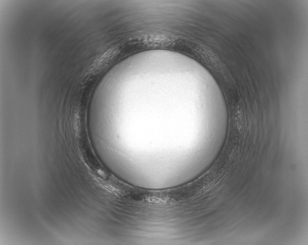 X0000056030690200509092205