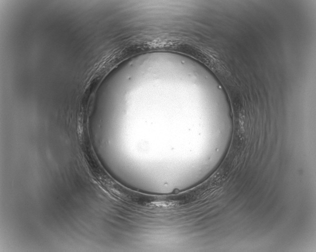 X0000056030691200509092205