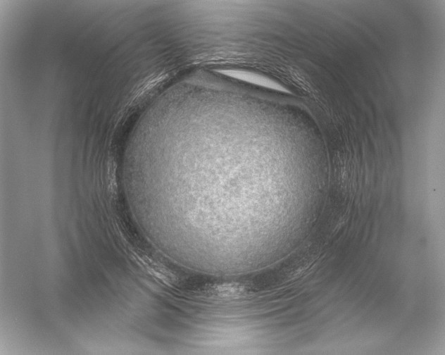 X0000056030692200509092205