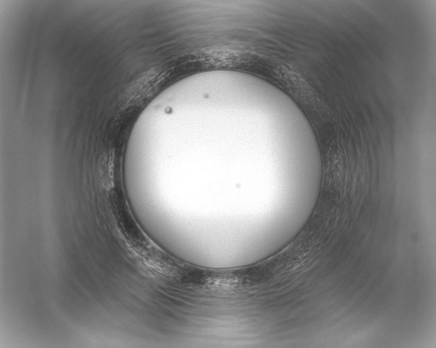 X0000056030694200509092205