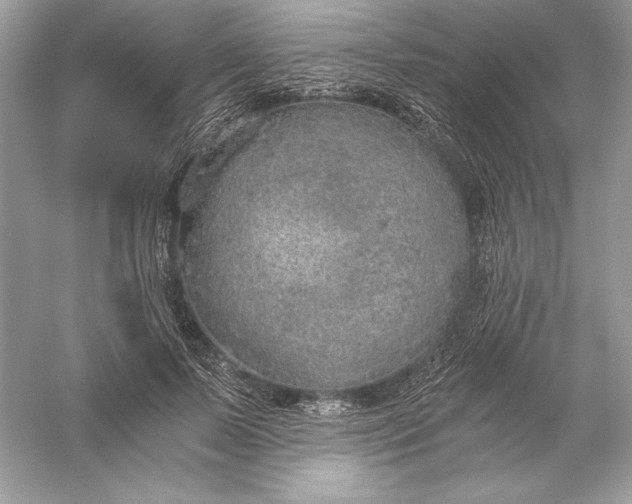 X0000056030695200509092205