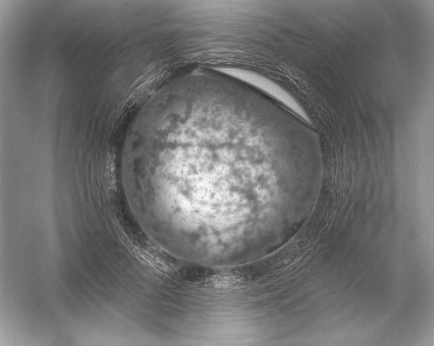 X0000056030696200509092205